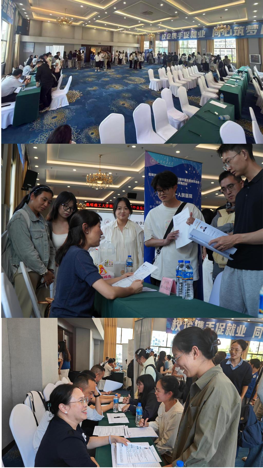 双选会.jpg